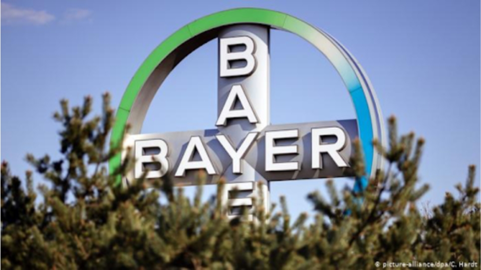 hoc-bong-bayer-sinh-vien-cao-hoc