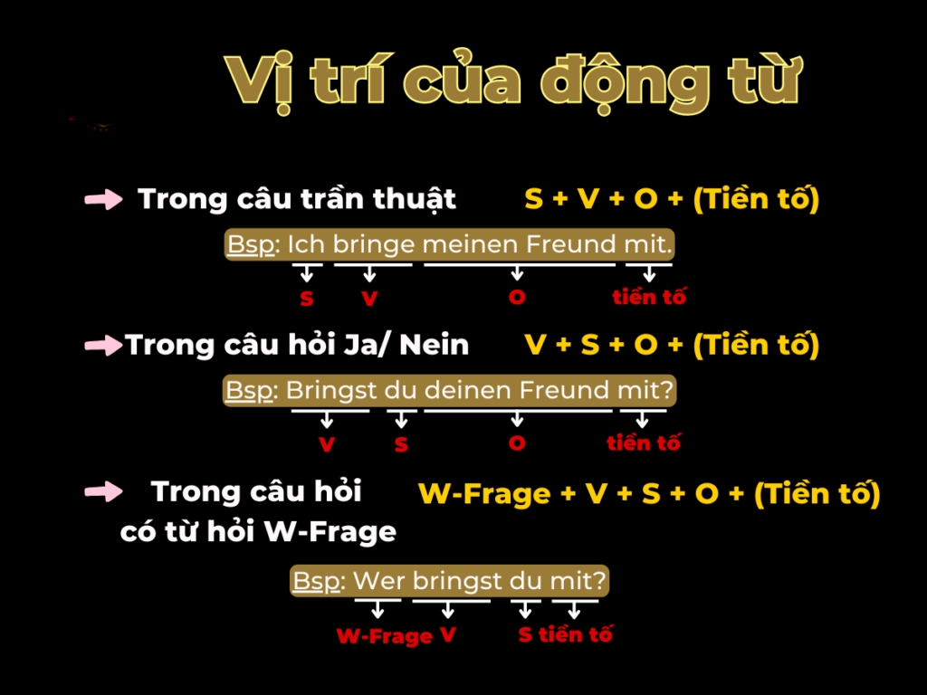 Một trong những lỗi phổ biến nhất khi học tiếng Đức trình độ A1 là đặt sai vị trí của động từ trong câu đơn.
