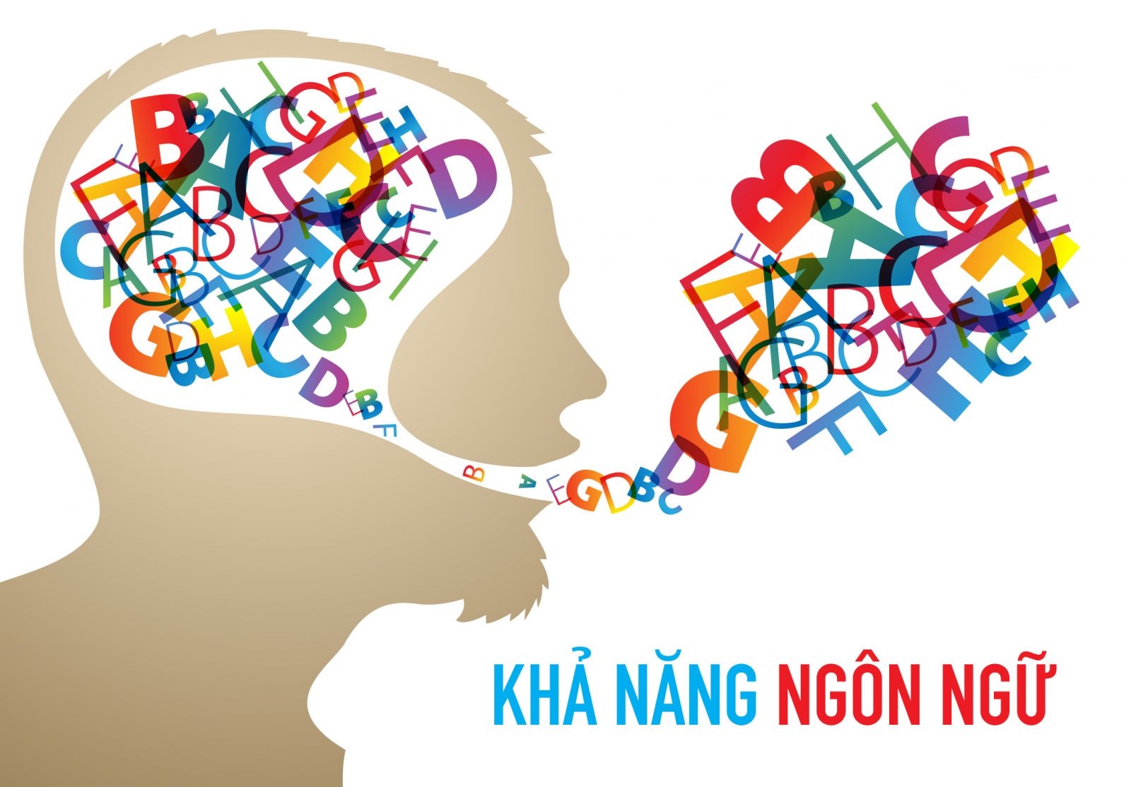 Nền tảng ngoại ngữ trước đó cũng ảnh hưởng nhiều đến tiến độ