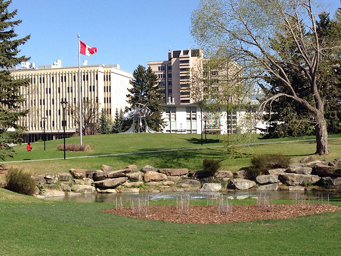 Trường đại học Calgary