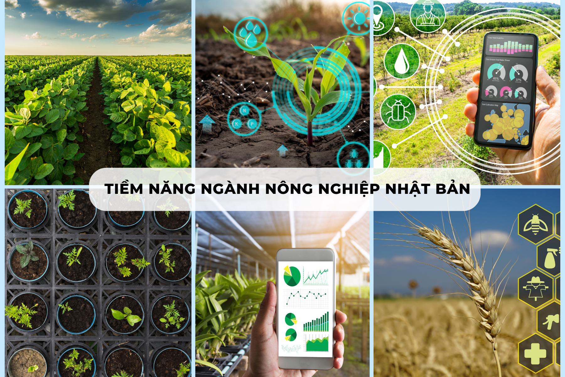 du-hoc-nganh-nong-nghiep-nhat-ban