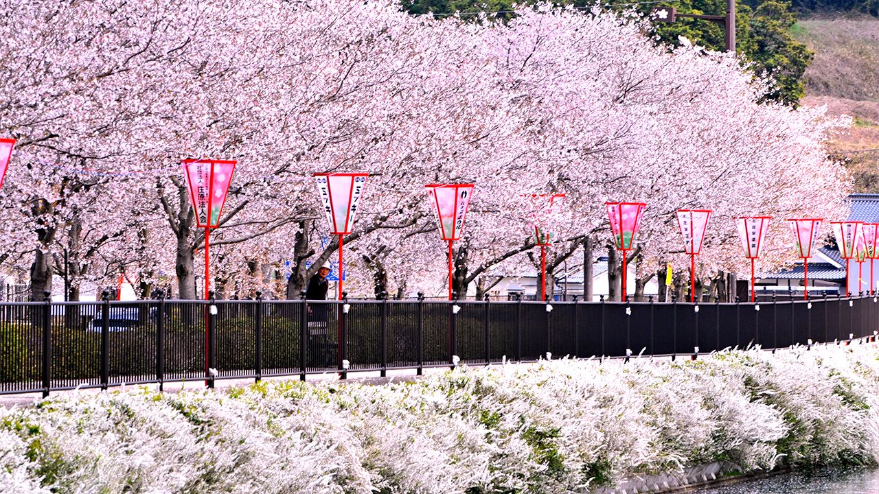 địa điểm nổi tiếng tại tokyo