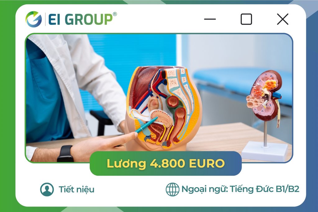 tiết niệu|tiết niệu