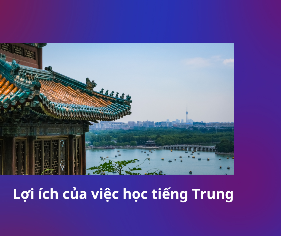 Lợi ích của việc học tiếng Trung|Mở Rộng Cơ Hội Nghề Nghiệp|Cải Thiện Kỹ Năng Tư Duy|Phát Triển Bản Thân Toàn Diện