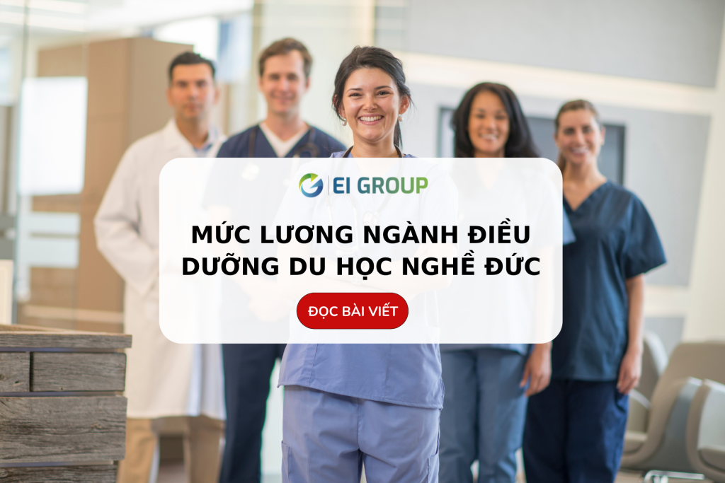 muc-luong-dieu-duong-du-hoc-nghe-duc|muc-luong-dieu-duong-du-hoc-nghe-duc|muc-luong-dieu-duong-tai-duc