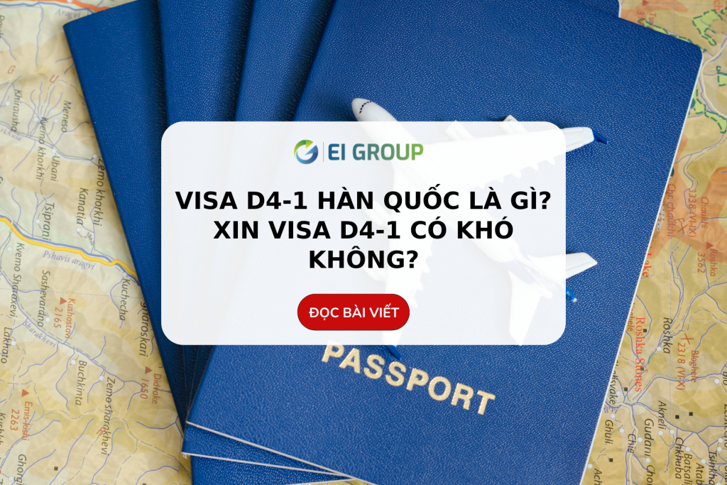 visa-D4|VisaD4|